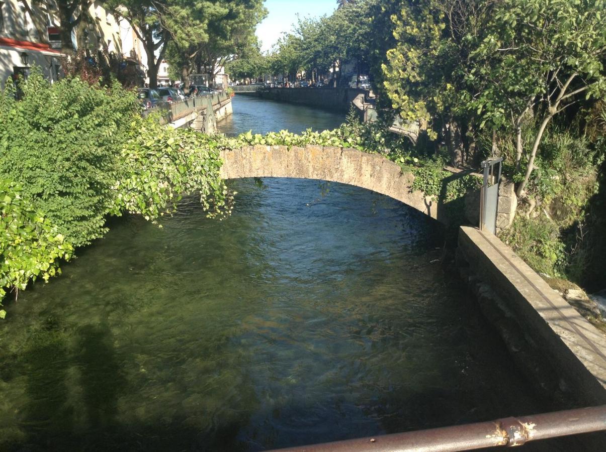 Les Lauriers LʼIsle-sur-la-Sorgue Exterior foto